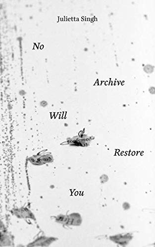 Book Cover No Archive Will Restore You