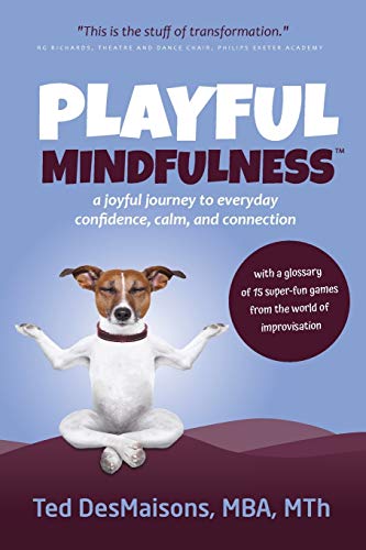 Book Cover Playful Mindfulness: a joyful journey to everyday confidence, calm, and connection