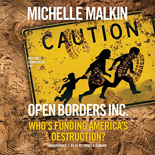 Book Cover Open Borders, Inc.: Who's Funding America s Destruction