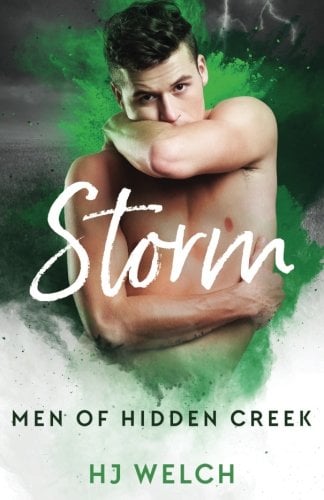 Book Cover Storm