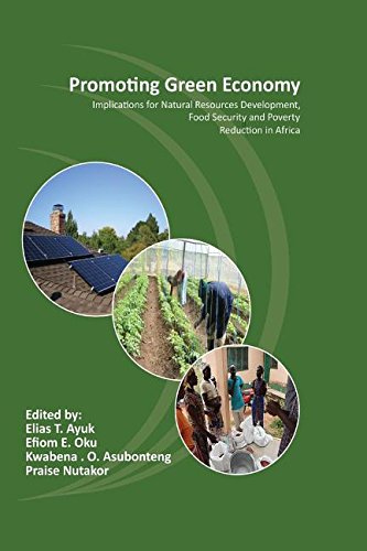 Book Cover Promoting Green Economy: Implications for Natural Resources Development, Food Security and Poverty Reduction in Africa