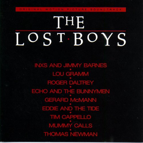 Book Cover The Lost Boys