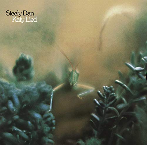 Book Cover Katy Lied