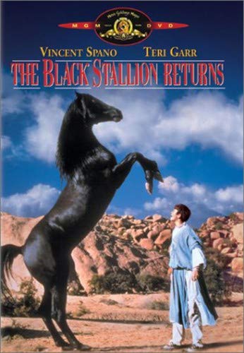 Book Cover The Black Stallion Returns