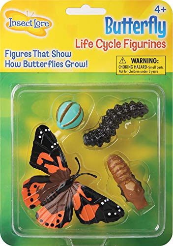 Book Cover Butterfly Learning Toy - 4 Piece Set Shows Metamorphasis Of A Butterfly