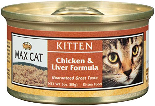 Book Cover NUTRO MAX CAT Kitten Chicken and Liver Formula Canned Cat Food (Pack of 24) 3oz; Rich in Nutrients and Full of Flavor; Supports Healthy Digestion & Healthy Skin and Coat