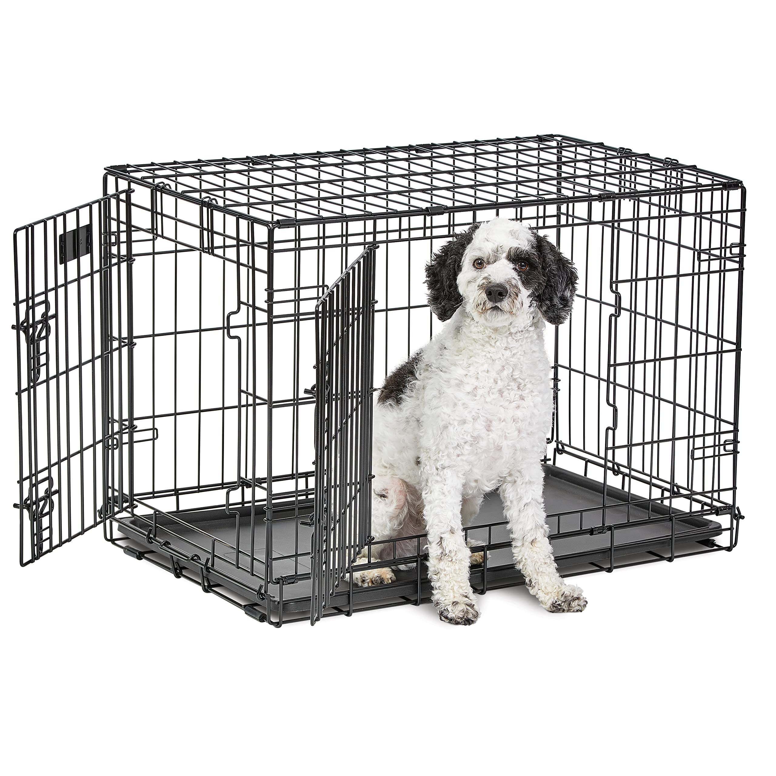 Book Cover MidWest Homes for Pets Medium Dog Crate | MidWest Life Stages 30' Double Door Folding Metal Dog Crate | Divider Panel, Floor Protecting Feet & Dog Pan | 30.6L x 19.3W x 21.4H Inches, Medium Dog Breed 30-Inch Double Door Dog Crate