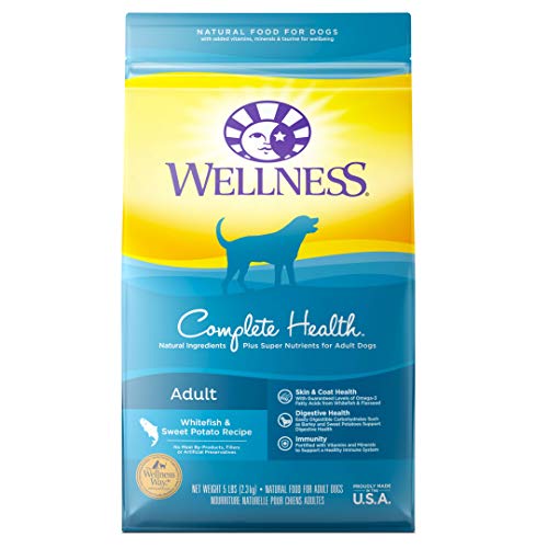 Book Cover Wellness Natural Pet Food Complete Health Natural Dry Dog Food, Whitefish & Sweet Potato, 15-Pound Bag