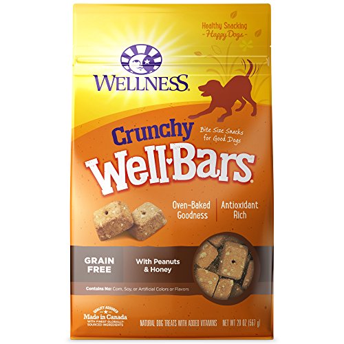 Book Cover Wellness Natural Grain Free Wellbars Crunchy Dog Treats, Peanut & Honey Recipe, 20-Ounce Bag, (Packaging May Vary)