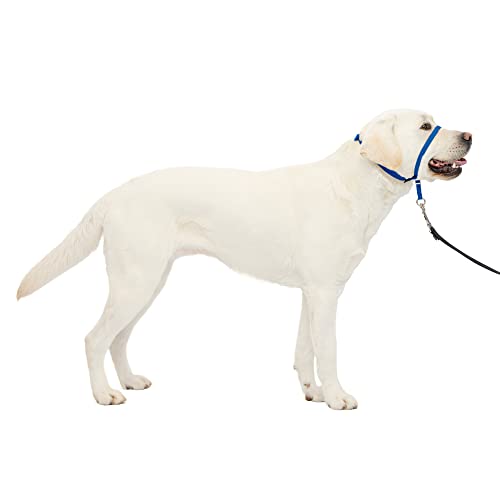 Book Cover PetSafe Gentle Leader No-Pull Dog Headcollar - The Ultimate Solution to Pulling - Redirects Your Dog's Pulling For Easier Walks - Helps You Regain Control - Large, Royal Blue
