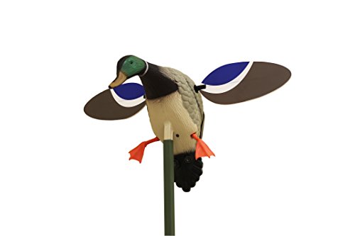 Book Cover MOJO Outdoors Baby Mallard Spinning Wing Duck Decoy, Duck Hunting Gear and Accessories, Drake
