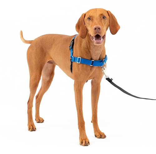 Book Cover PetSafe Easy Walk No-Pull Dog Harness - The Ultimate Harness to Help Stop Pulling - Take Control & Teach Better Leash Manners - Helps Prevent Pets Pulling on Walks - Medium, Royal Blue/Navy Blue