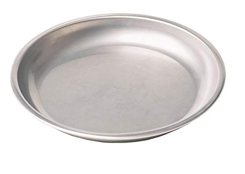 Book Cover MSR Alpine Stainless Steel Camping Plate, Silver