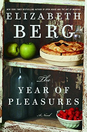 Book Cover The Year of Pleasures: A Novel
