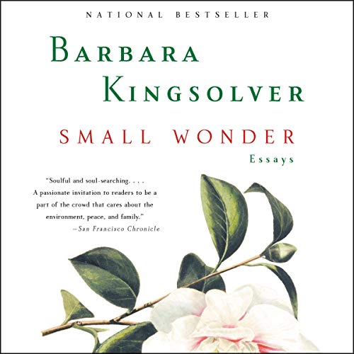 Book Cover Small Wonder