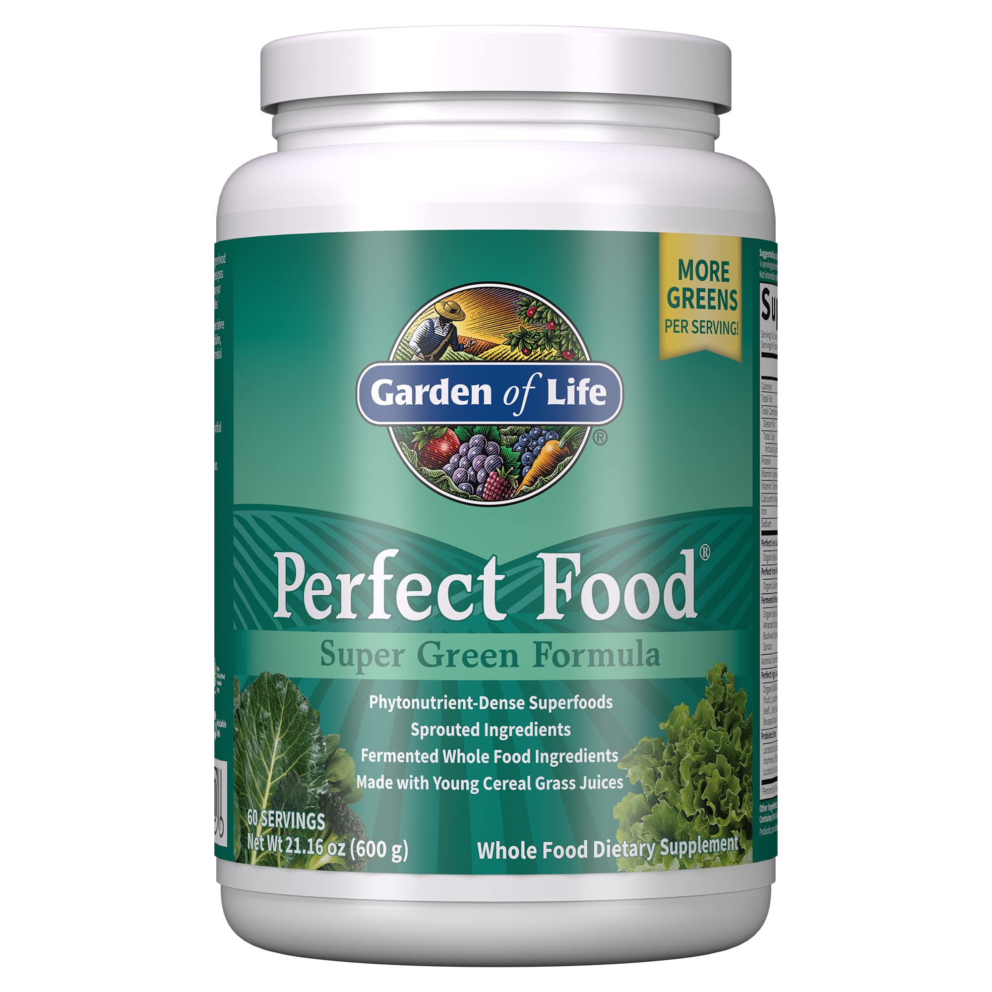 Book Cover Garden Of Life Whole Food Vegetable Supplement - Perfect Food Green Superfood Dietary Powder, 600g 60 Servings (Pack of 1)