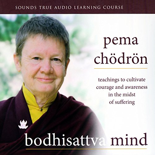 Book Cover Bodhisattva Mind: Teachings to Cultivate Courage and Awareness in the Midst of Suffering