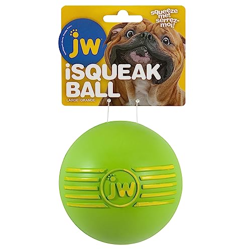 Book Cover JW Pet Dog Isqueak Ball Large, Colors May Vary