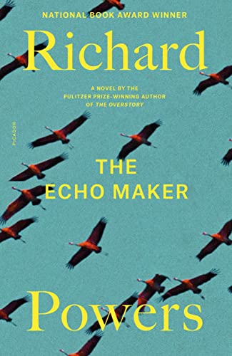 Book Cover The Echo Maker: A Novel