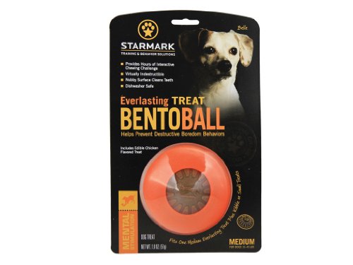 Book Cover Starmark Everlasting Treat Bento Ball Tough Dog Chew Toy Medium