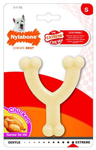 Book Cover Nylabone Dura Chew Regular Original Flavored Wishbone Dog Chew Toy
