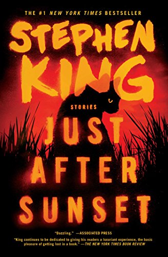 Book Cover Just After Sunset