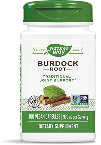 Book Cover Nature's Way Burdock Root 475 mg per capsule,100 Count (Pack of 2)