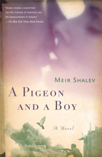 Book Cover A Pigeon and a Boy: A Novel