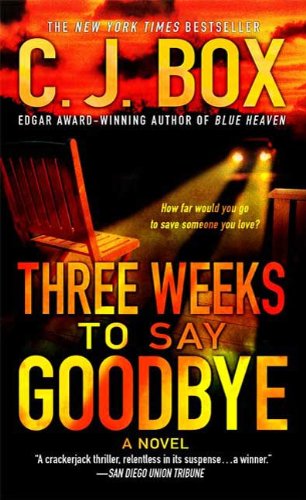 Book Cover Three Weeks to Say Goodbye: A Novel