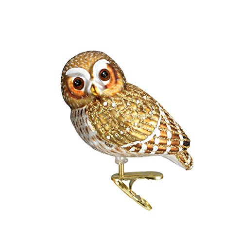 Book Cover Old World Christmas Glass Blown Ornaments for Christmas Tree Pygmy Owl