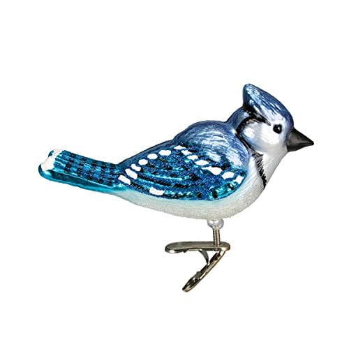 Book Cover Old World Christmas Bird Watcher Collection Glass Blown Ornaments for Christmas Tree Bright Blue Jay