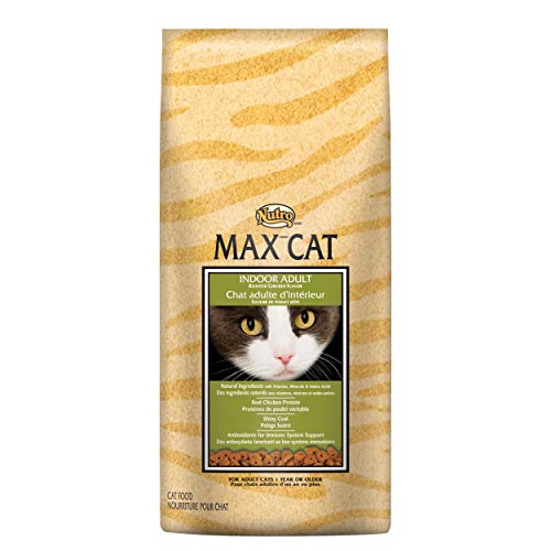 Book Cover DISCONTINUED BY MANUFACTURER:NUTRO MAX CAT Indoor Adult Roasted Chicken Flavor Dry Cat Food 6 Pounds
