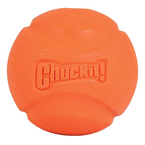 Book Cover Chuckit Fetch Ball Large 1-Pack