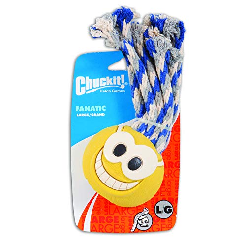 Book Cover ChuckIt! Tennis Fanatic Dog Toy, Large (3 Inch)