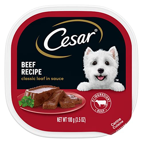 Book Cover CESAR Adult Wet Dog Food Loaf in Sauce Beef Recipe, 3.5 oz. Easy Peel Trays, Pack of 24