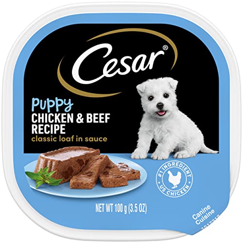 Book Cover CESAR Puppy Soft Wet Dog Food Classic Loaf in sauce Chicken & Beef Recipe, 3.5 Ounce (Pack of 24) Easy Peel Trays