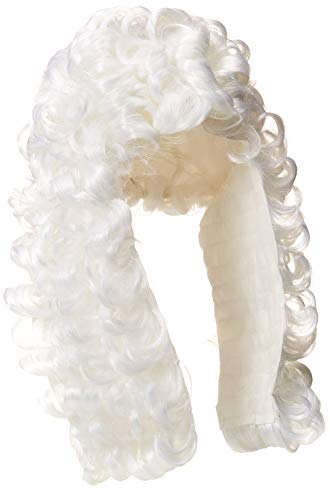 Book Cover Rubie's Retro Judge Wig, White, One Size