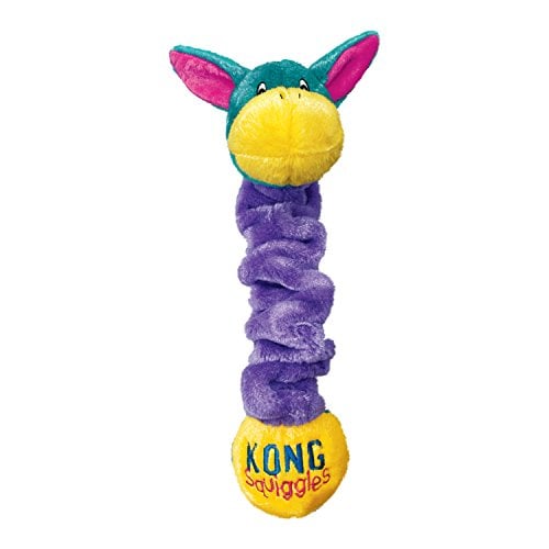 Book Cover KONG Squiggles Large Dog Toy (Colors vary)