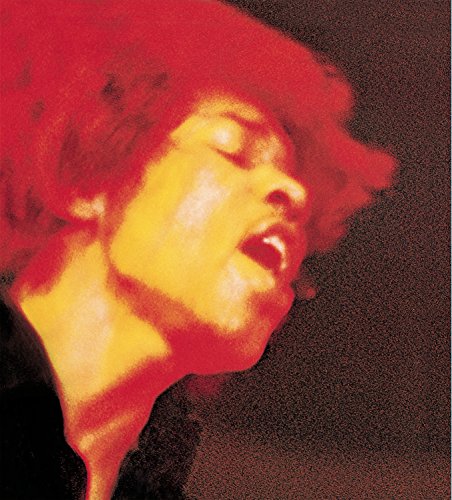 Book Cover Electric Ladyland (2 Vinyl)
