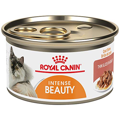 Book Cover Royal Canin Feline Care Nutrition Intense Beauty Canned Cat Food, 3 oz (Pack of 24)