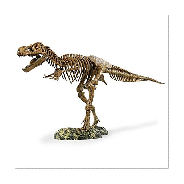 Book Cover Edu-Toys Science Tech T-Rex Skeleton 36