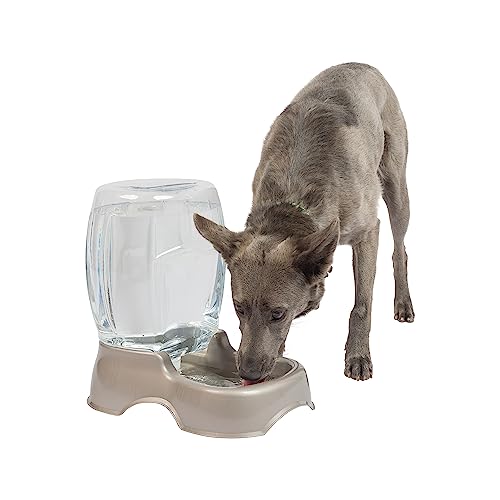Book Cover Petmate Pet Cafe Waterer Cat and Dog Water Dispenser 4 Sizes