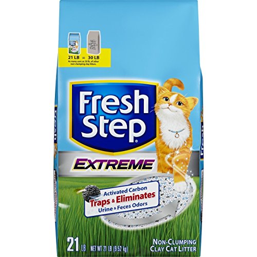 Book Cover Fresh Step Cat Litter, Regular, 21-Pound Package