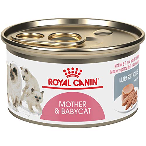 Book Cover Royal Canin Feline Health Nutrition Mother and Babycat Canned Cat Food, 3 oz (Pack of 24)