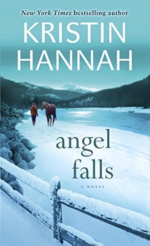 Book Cover Angel Falls: A Novel