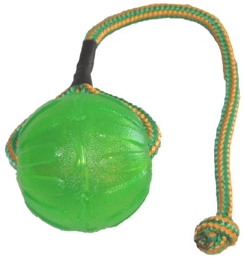 Book Cover Starmark Everlasting Fun Ball on a Rope Dog Toy