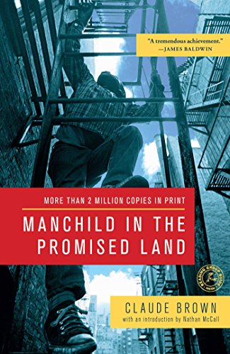 Book Cover Manchild in the Promised Land