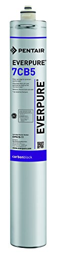 Book Cover Everpure EV9618-11 7CB5 Filter Cartridge