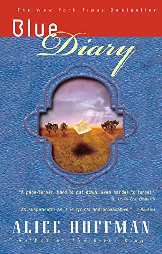 Book Cover Blue Diary