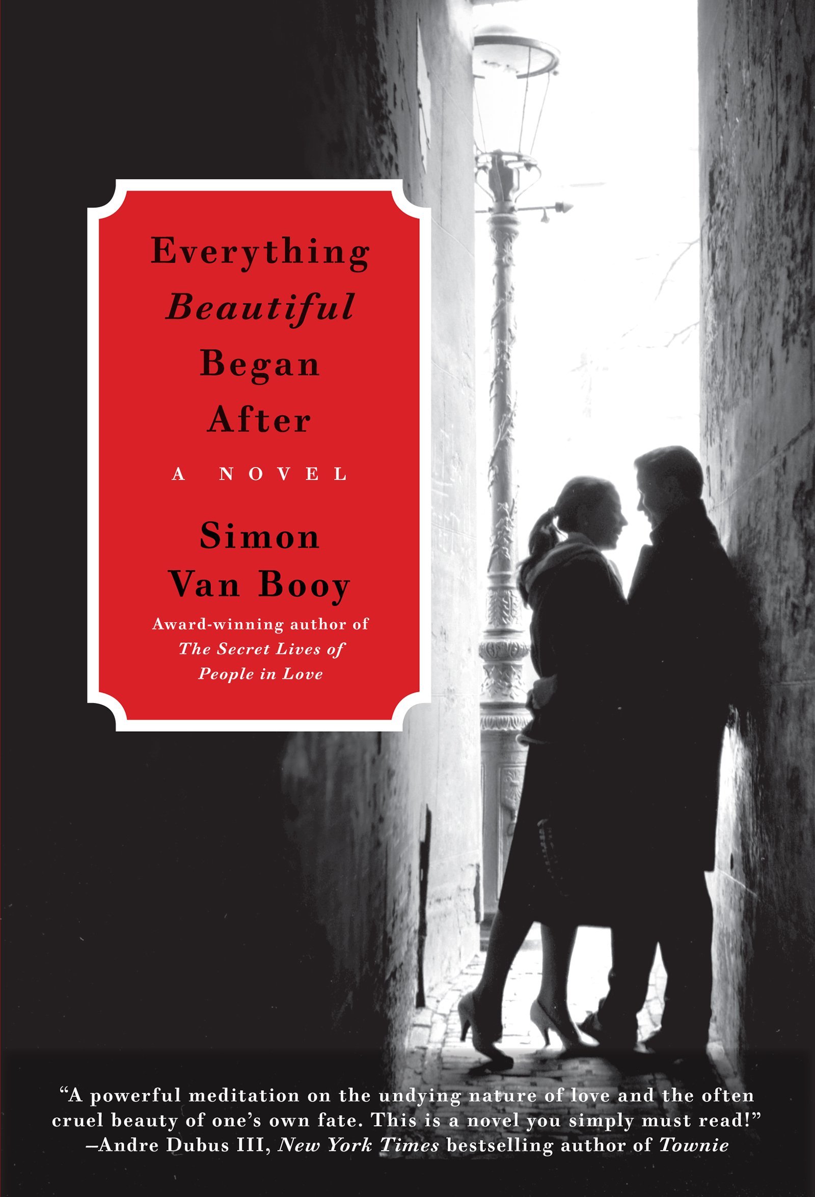 Book Cover Everything Beautiful Began After: A Novel